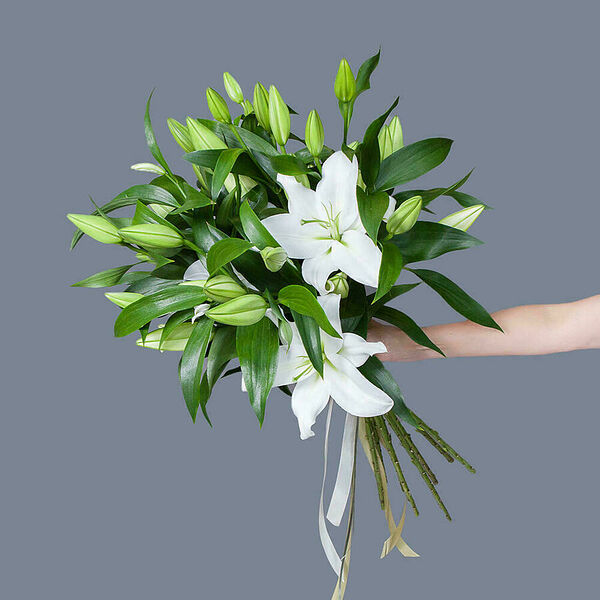 Монобукет 9 Лилий под ленту Ирис