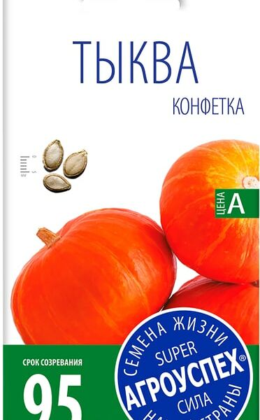 Семена Агроуспех Тыква Конфетка 2г