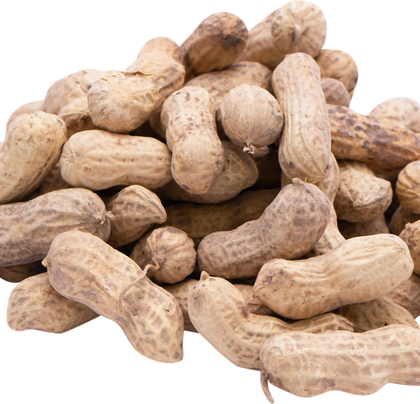 Арахис в скорлупе вес до 250 г