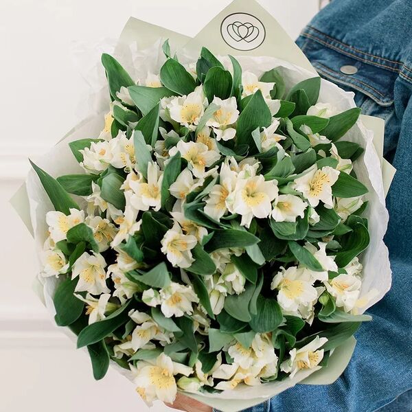 Букет из 23 белых альстромерий в зеленой пленке
