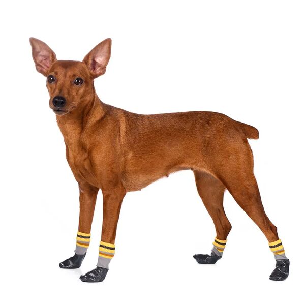 Носки с прорезиненной подошвой для собак L серый (унисекс)