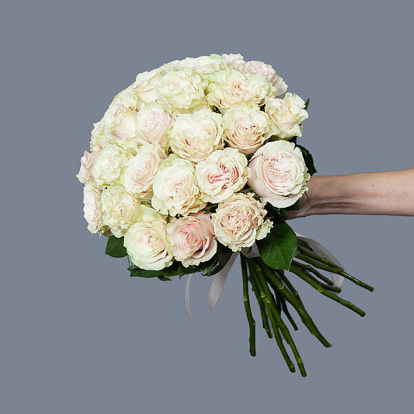 Монобукет 25 Роз Pink Mondial под ленту