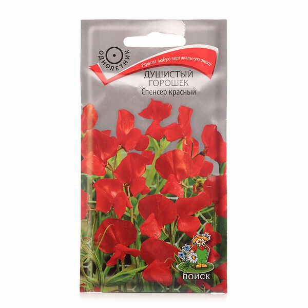 Горошек душистый спенсер красный ТМ Поиск
