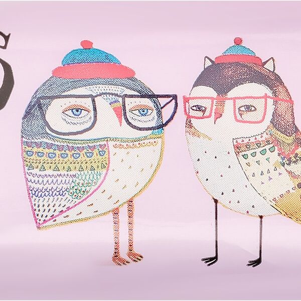 Пастила фруктовая FRIEND'S Яблоко и слива