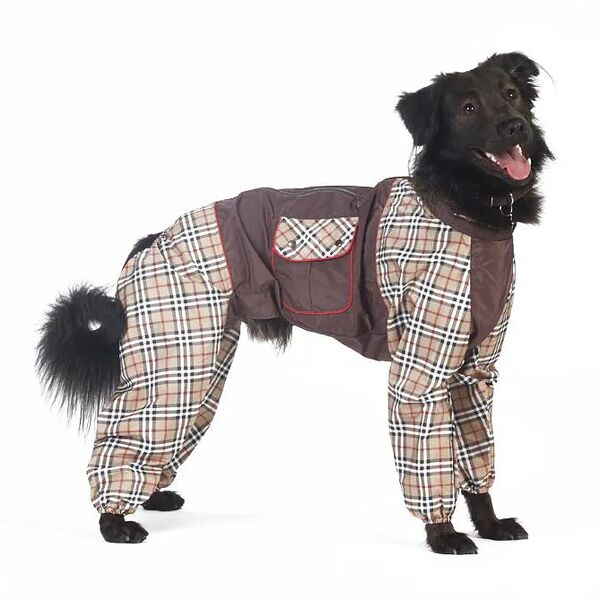 Комбинезон холодный для собак Такса средняя XL (мальчик)