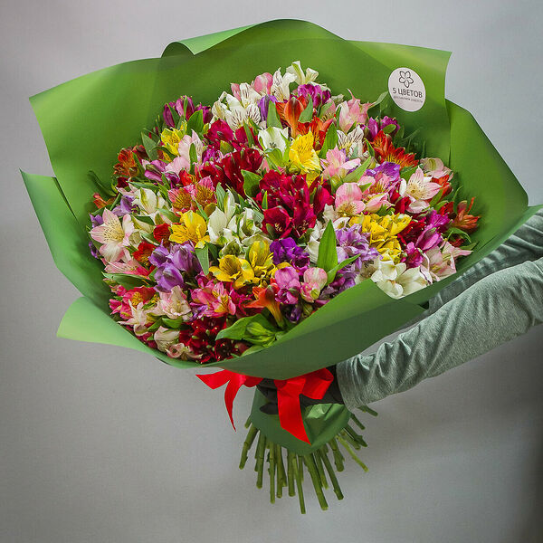Букет из 51 альстромерии микс