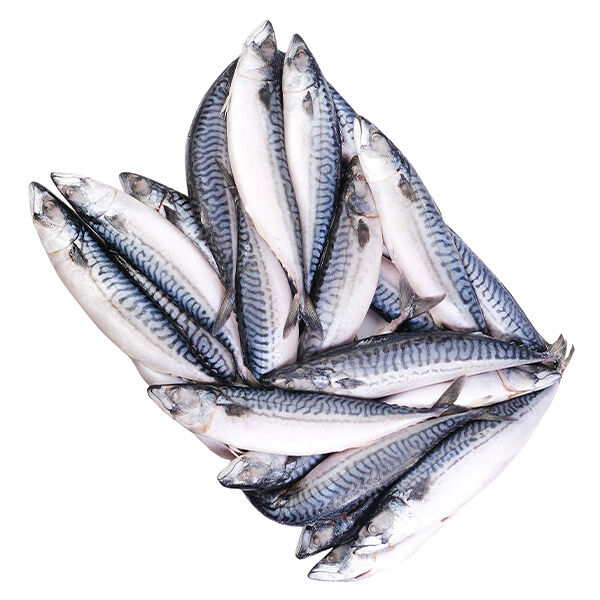 Скумбрия крупная мурманская замороженная 400/600 ОПТ