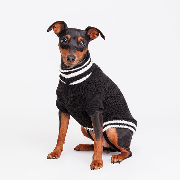 Свитер для собак, 30 см, черный