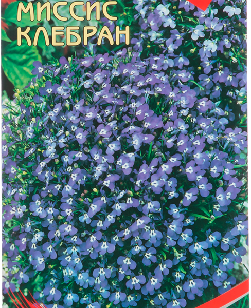 Семена Лобелия Мисс Клербан