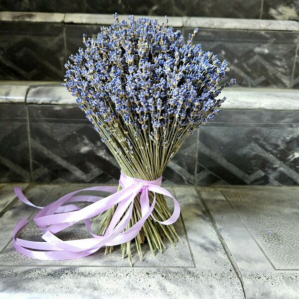 Сноп сухоцветов невысокой лаванды