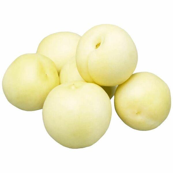 Нектарины белые в шейкере