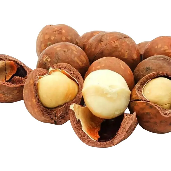 Орехи Макадамия в скорлупе