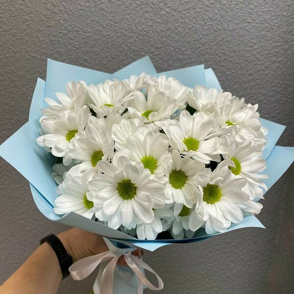 Хризантема кустовая