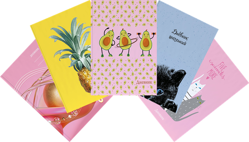 

Дневник SEVENTEEN для старшей школы, 48 листов