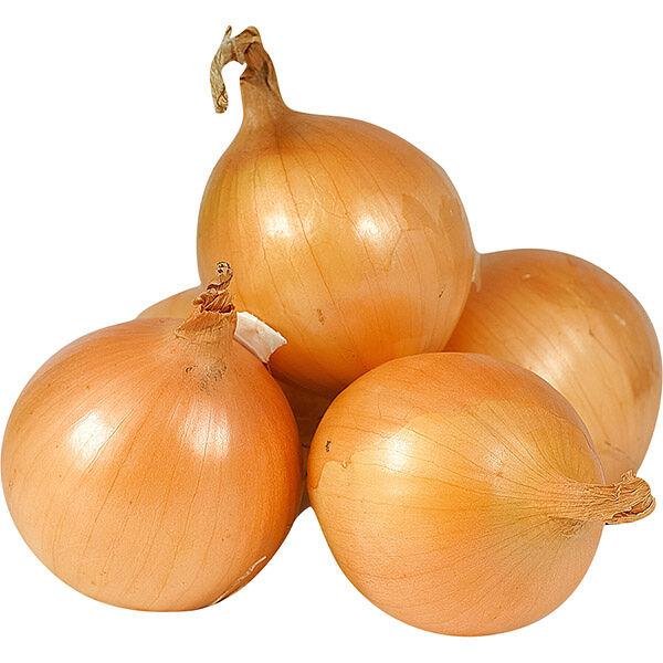 Лук репчатый