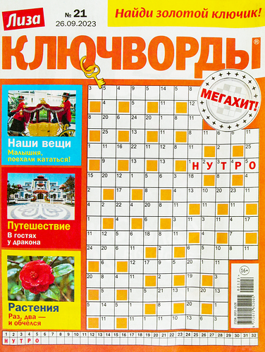Журнал Лиза Ключворды