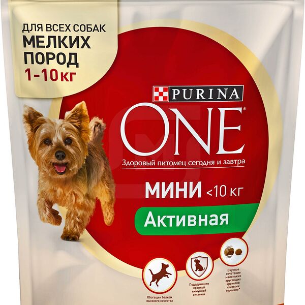 Корм для собак Purina One с курицей и рисом 