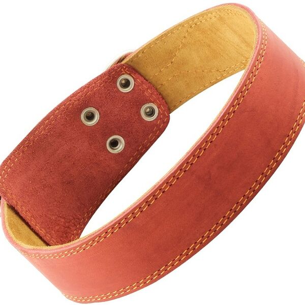 Гамма ошейник кожаный двойной 45мм*780мм