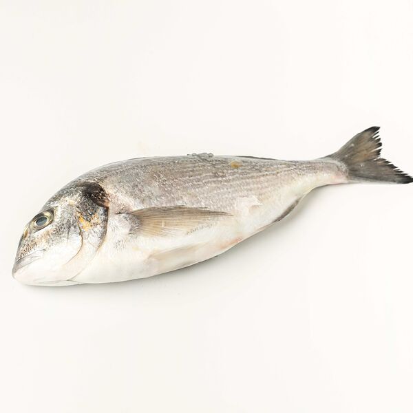 Дорадо охлажденная 300-400 г