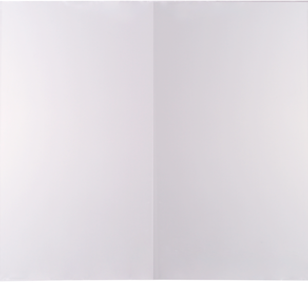 Набор обложек для дневников и тетрадей 365 ДНЕЙ 21х35см, 40мкм, 10шт