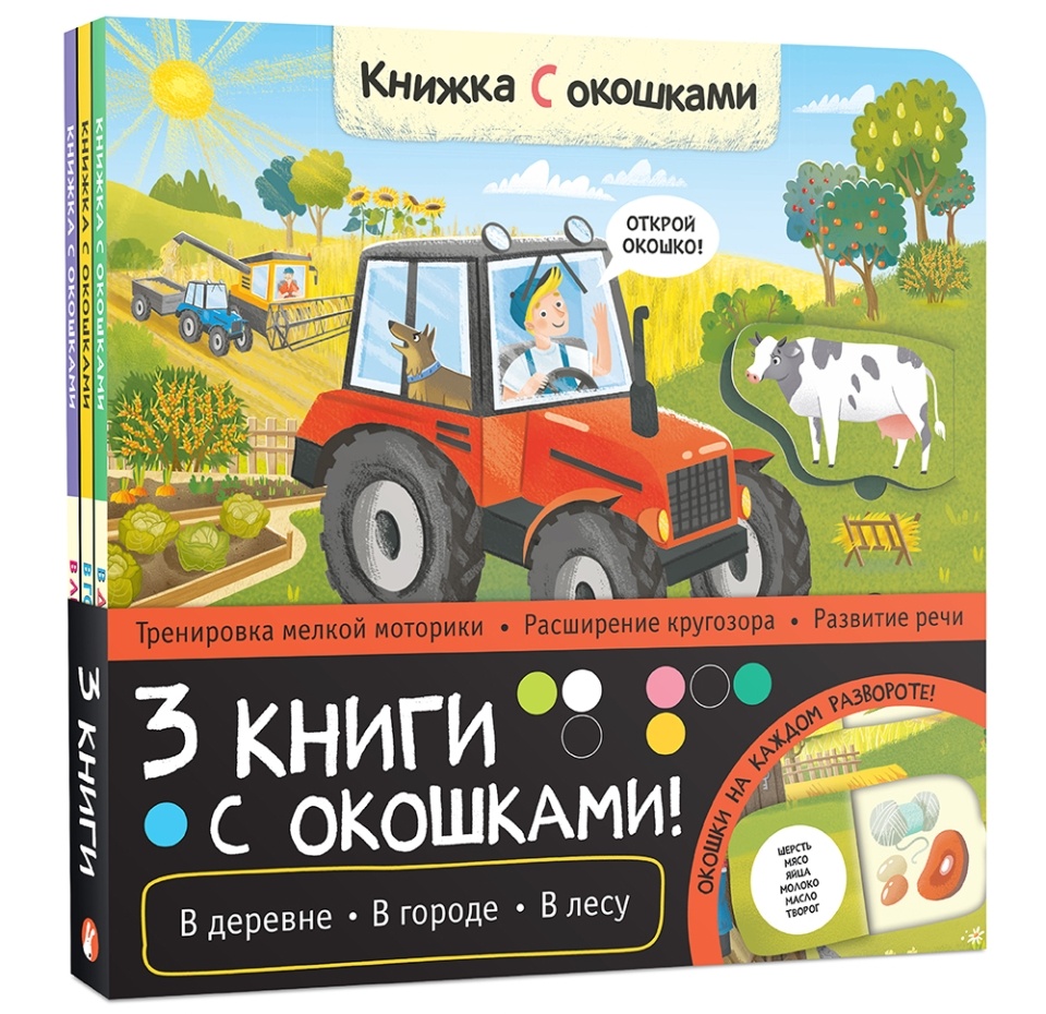 

Набор Книжки с окошками. В городе, В деревне, В лесу Мозаика kids, Россия