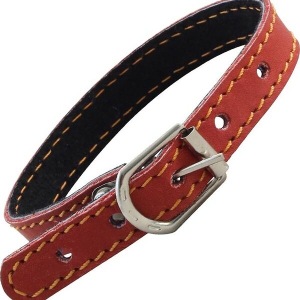 Гамма ошейник кожаный двойной 12мм*270мм