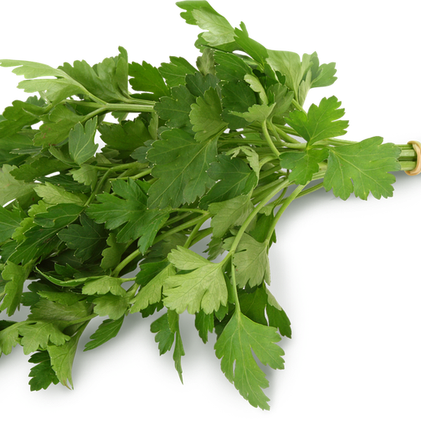 Петрушка свежая