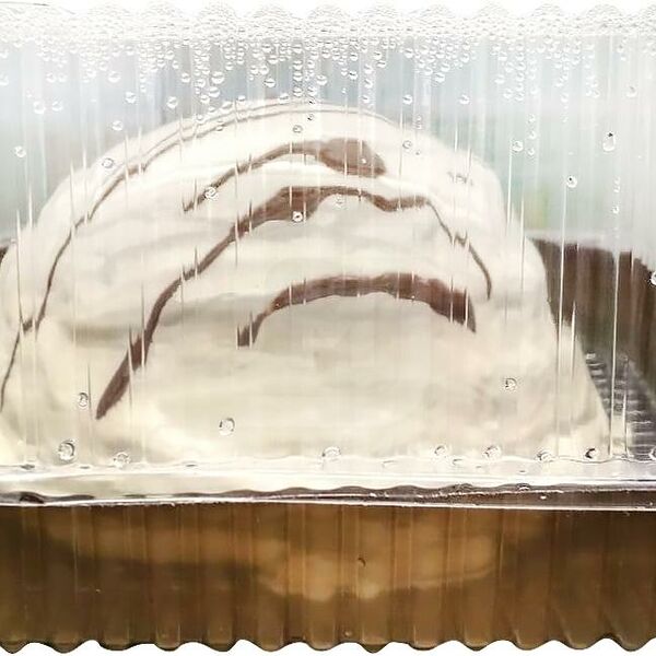 Главторт Торт Панчо коррекс 800 г