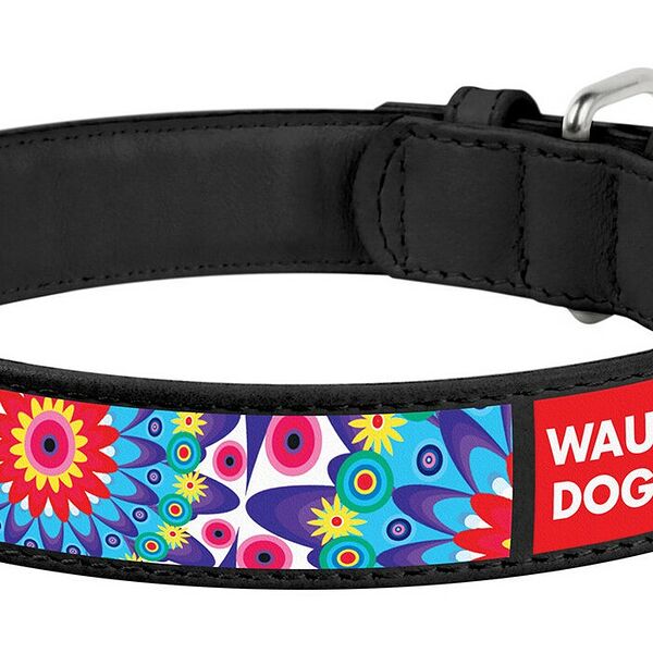 Collar ошейник кожаный Waudog Design 