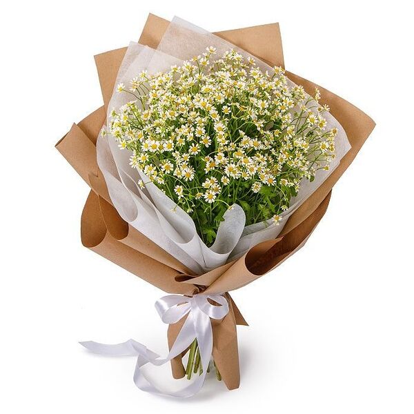 Букет 15 ромашек