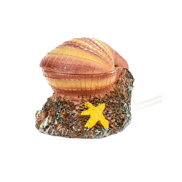 Ракушка с распылителем в ассортименте 5*5,5*5см