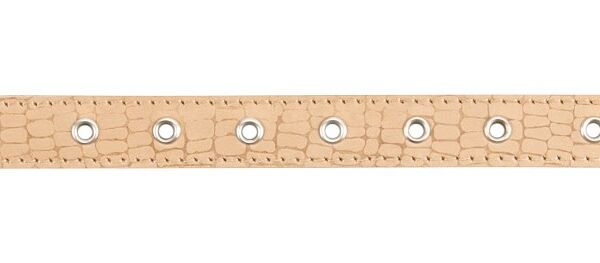 Ошейник Аркон Джунгли 20 кожа универсальный для собак 44 см