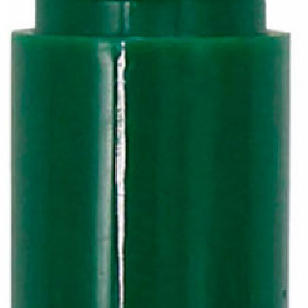 Маркер перманентный Каждый день, зеленый