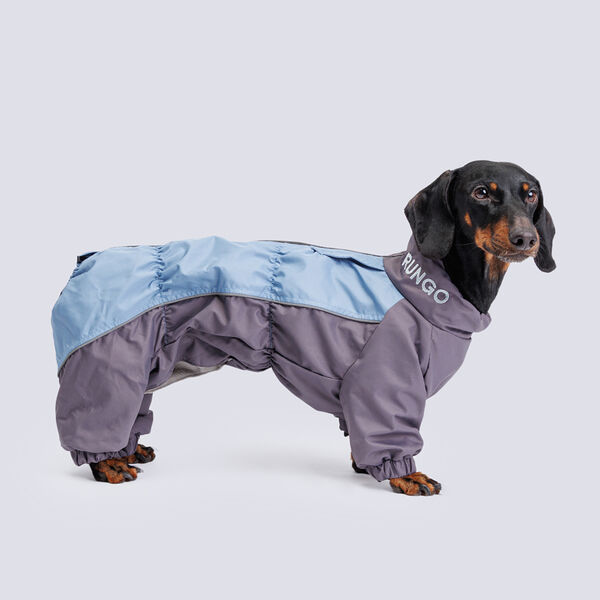 Комбинезон Rungo теплый для средней таксы, 42x36x52 см, голубой-серый (мальчик)
