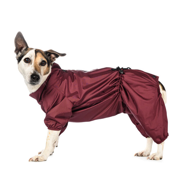 Дождевик для собак S бордовый (девочка)