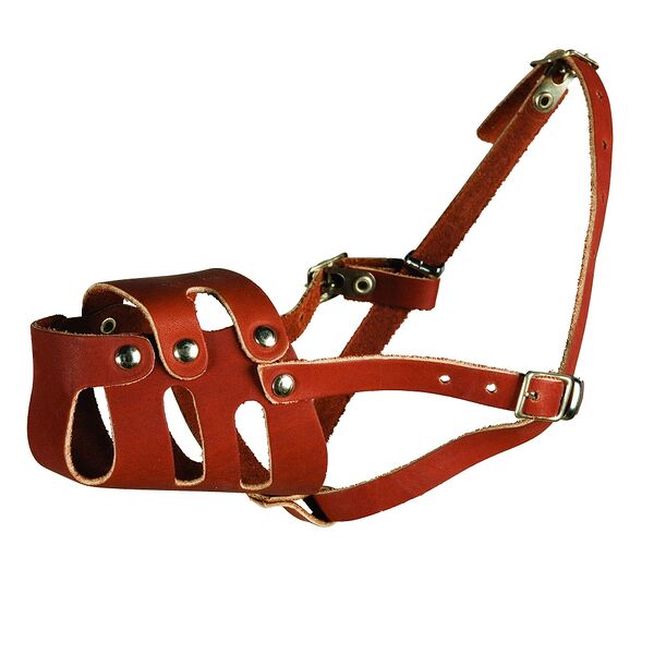 Каскад намордник для ротвейлера цельнокроеный кожаный, цвет в ассортименте