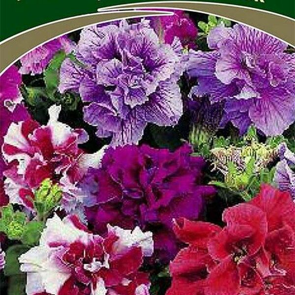 Семена Петуния Махровая дуо смесь ТМ Поиск