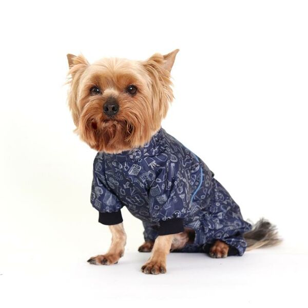 Комбинезон для собак Бакалавр S синий (мальчик)