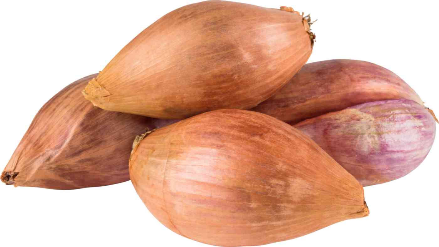 

Лук-шалот вес