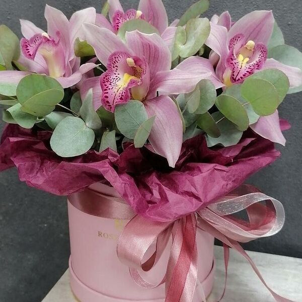 Коробка с орхидеями цимбидиум Розовый Клэр