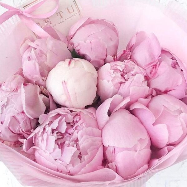 Букет из 9 нежных пионов