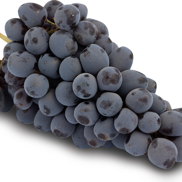 Виноград Мерседес