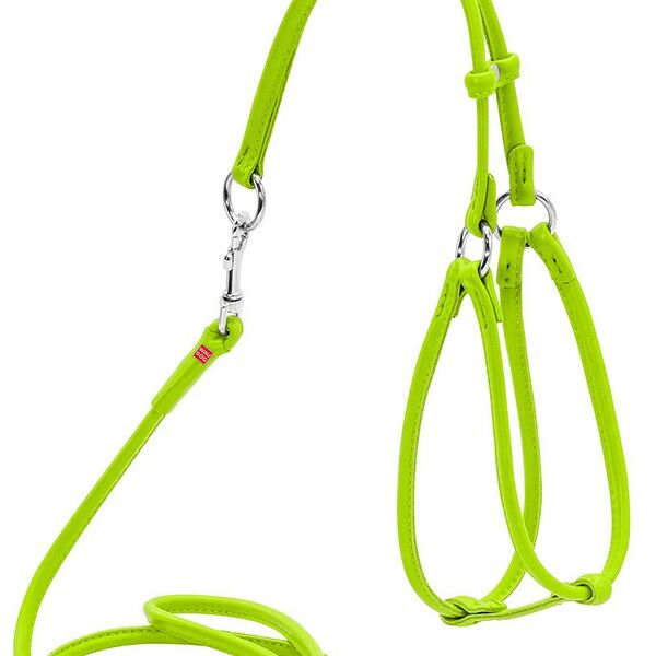 Collar шлея кожаная Glamour №1 с поводком, круглая Голубой