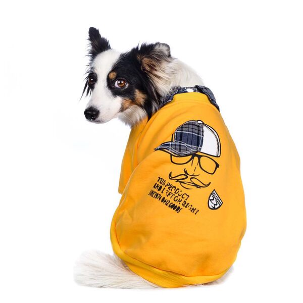 Толстовка для собак 3XL желтый (унисекс)