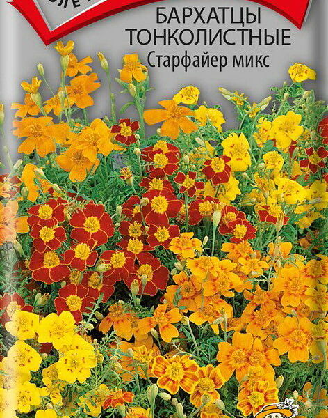 Семена бархатцы Старфайер ТМ Поиск