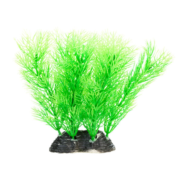 Растение зеленое 6*5*10см