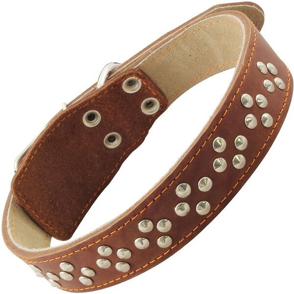 Гамма ошейник кожаный двойной с фурнитурой 77 см