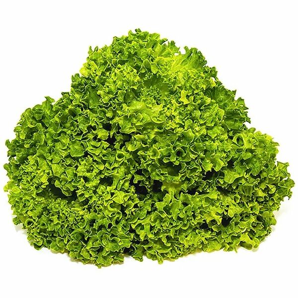 Салат Лолло Бионда, 300 г