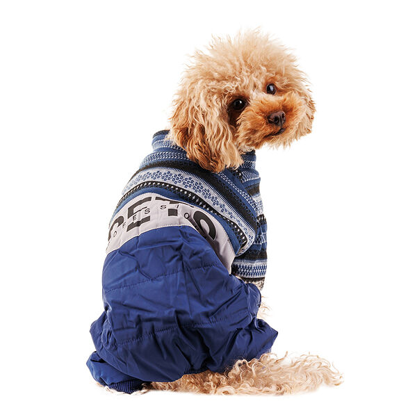Комбинезон для собак Petmax с узором L синий, 33 см (унисекс)