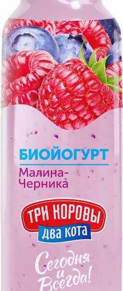 Биойогурт Три Коровы Два Кота с малиной и черникой 2.5% 310 г